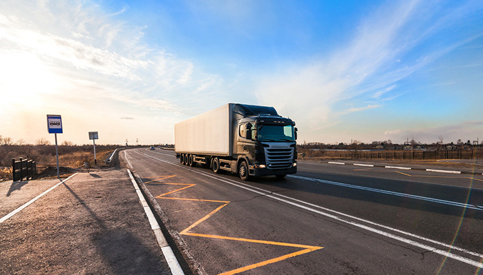 Domestic Transport